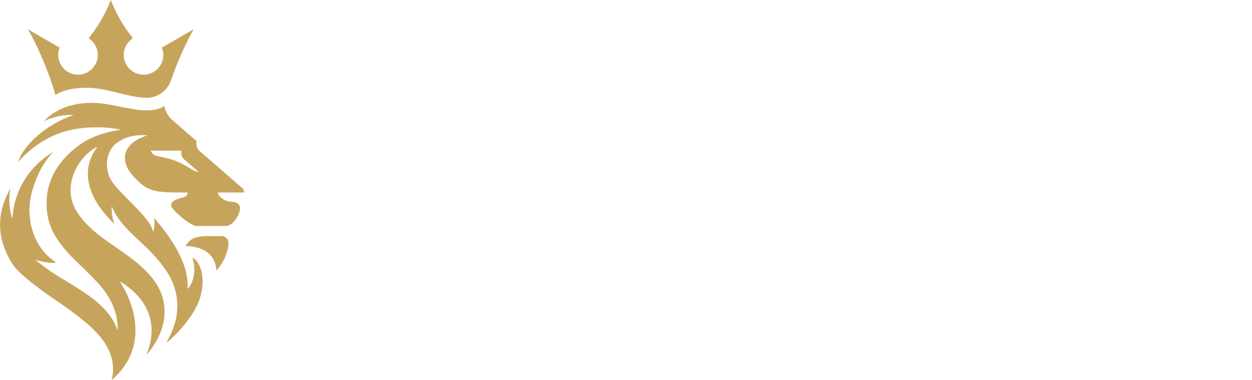 Castelo Forte Group