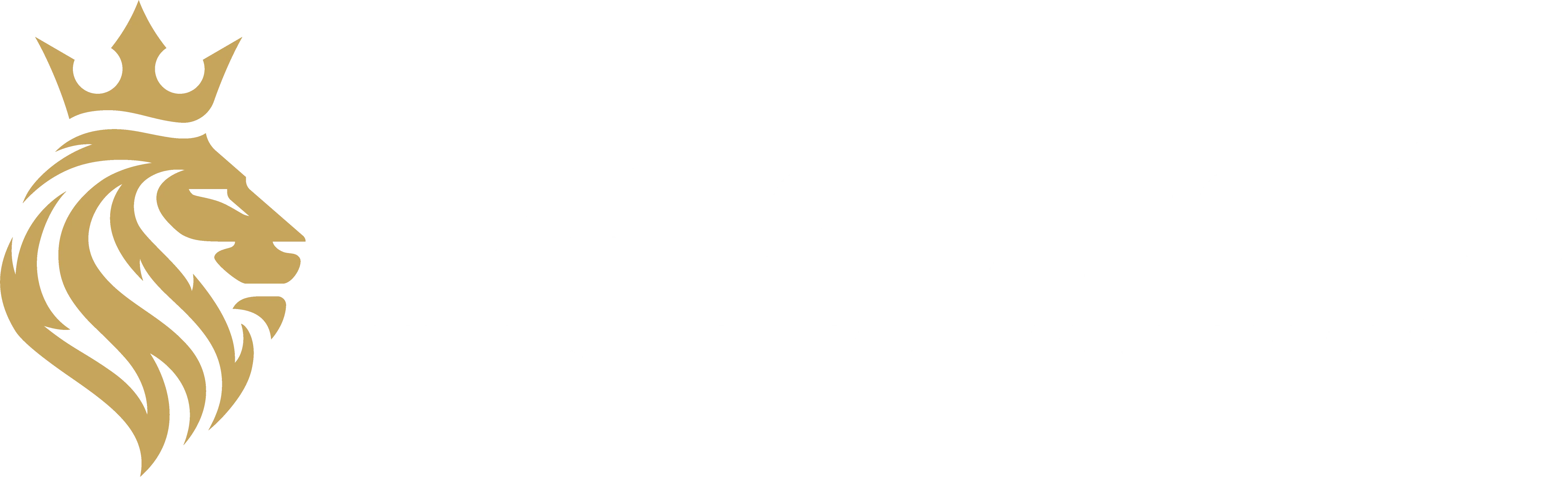 Castelo Forte Group